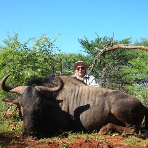 Blue Wildebeest Hunting in Namibia