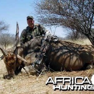 Bow Hunting Cape Eland in Namibia