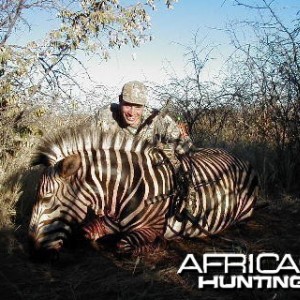 Bow Hunting Hartmann Mountain Zebra in Namibia