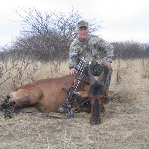 Bow Hunting Red Hartebeest in Namibia