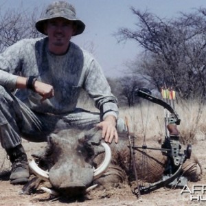 Bow Hunting Warthog in Namibia