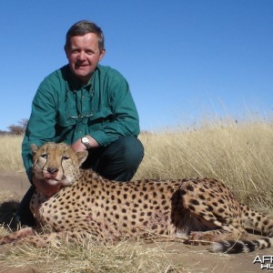 Cheetah Hunting in Namibia