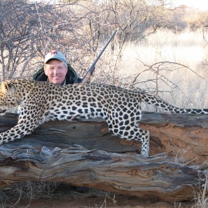 Hunting Leopard in Namibia