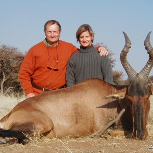 Red Hartebeest Hunting in Namibia