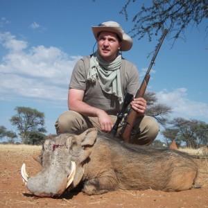 Warthog Hunting in Namibia