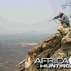 Plains Game Hunting in Namibia