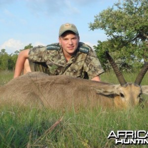 Reedbuck