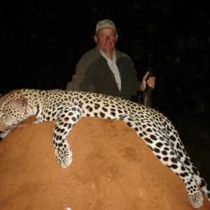 Hunting Leopard in Namibia