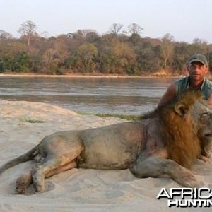 Big mane lion from Tanzania