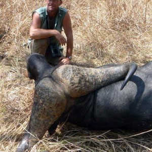 Buffalo from Tanzania - 45 inches