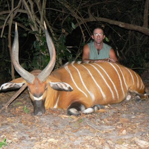 Central Africa. Bongo 28'