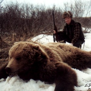 Alaskan Brown Bear