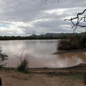 Africa Namibia Waterhole