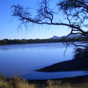 Africa Namibia Waterhole