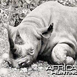 Black Rhino Hunt