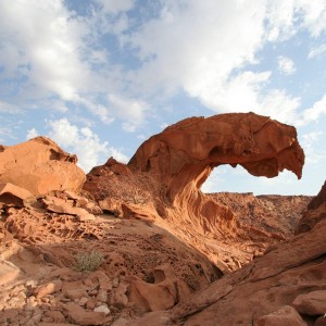 African landscape