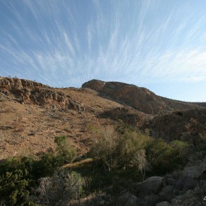 African landscape