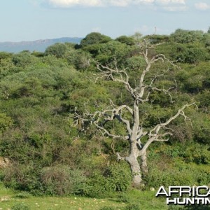 Namibia Landscape