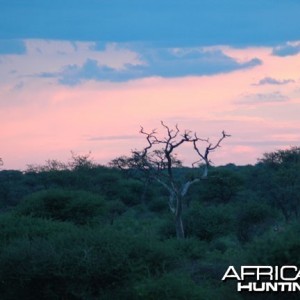 Namibian Sky