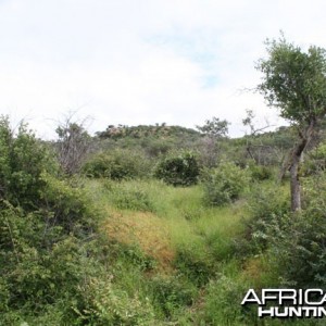 Nambia Landscape