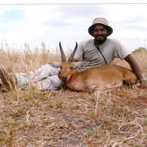 Bohor Reedbuck