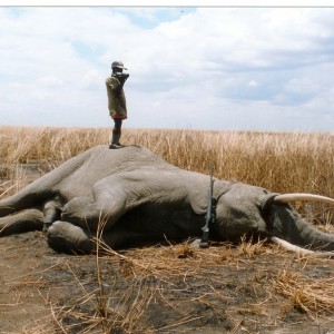 Kilombero Tusker