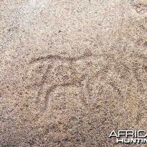 Rock Carvings