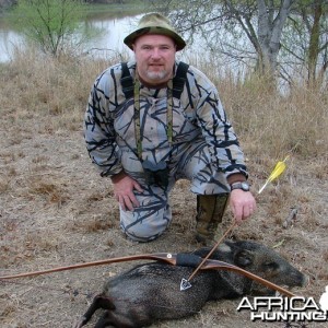 Bowhunting Javelina