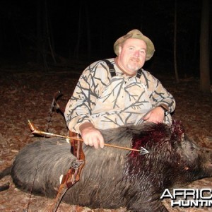 Bowhunting Boar