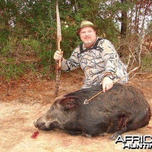 Bowhunting Pig