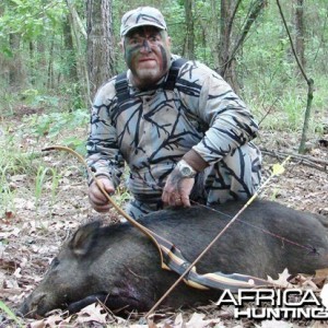 Bowhunting Boar