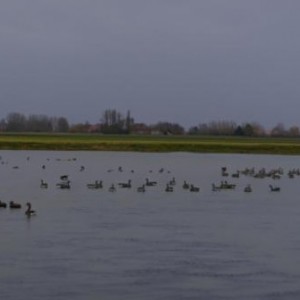 French Hunting Style - Global view of our spread