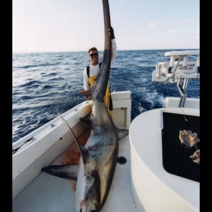 Big Eye Thresher Shark