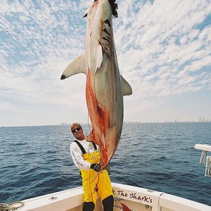 Hammerhead Shark