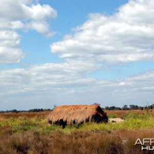 Hunting Zambia