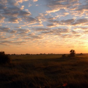 Sunset in Zambia