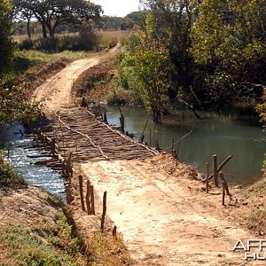 Hunting Zambia