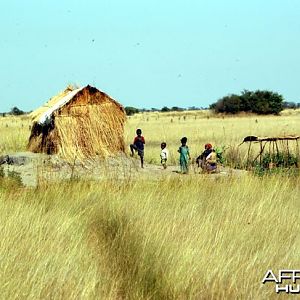 Hunting Zambia