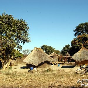 Hunting Zambia