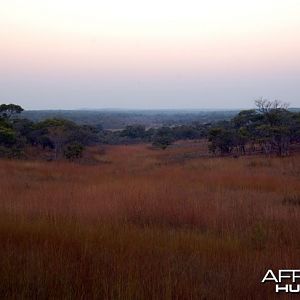 Hunting Zambia