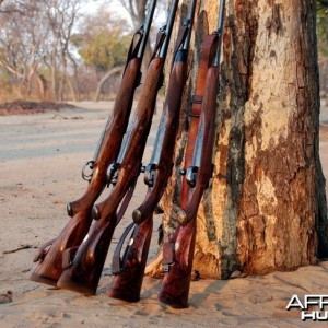 Big Bore Rifles