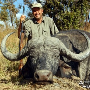 Cape Buffalo