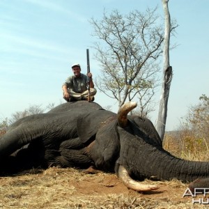 Elephant Hunting