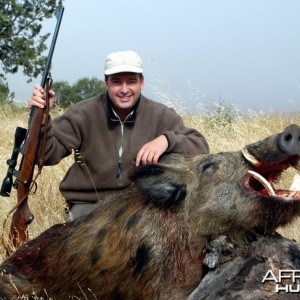 Boar Hunting