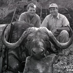 Hunting Cape Buffalo