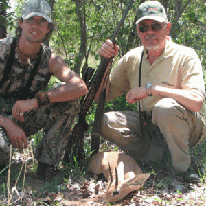 Steenbok