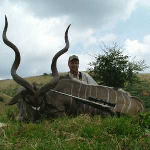 Greater Kudu