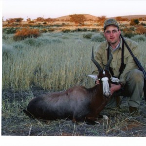 Blesbok Namibia