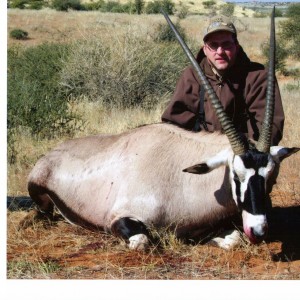 Gemsbok Namibia