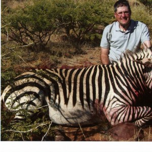 Mountain Zebra Namibia